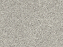 Iris 696D