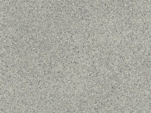 Iris 99D